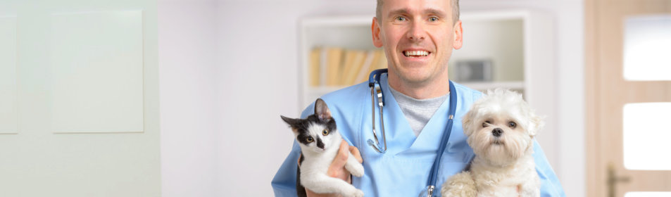 happy vet with dog and cat